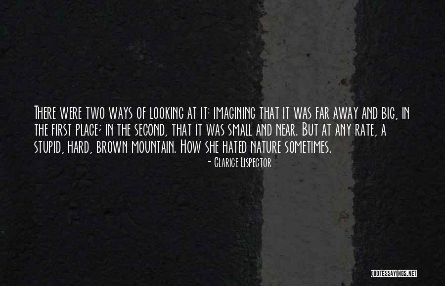 Mountain Small Quotes By Clarice Lispector Mountain Small Quotes By Clarice Lispector