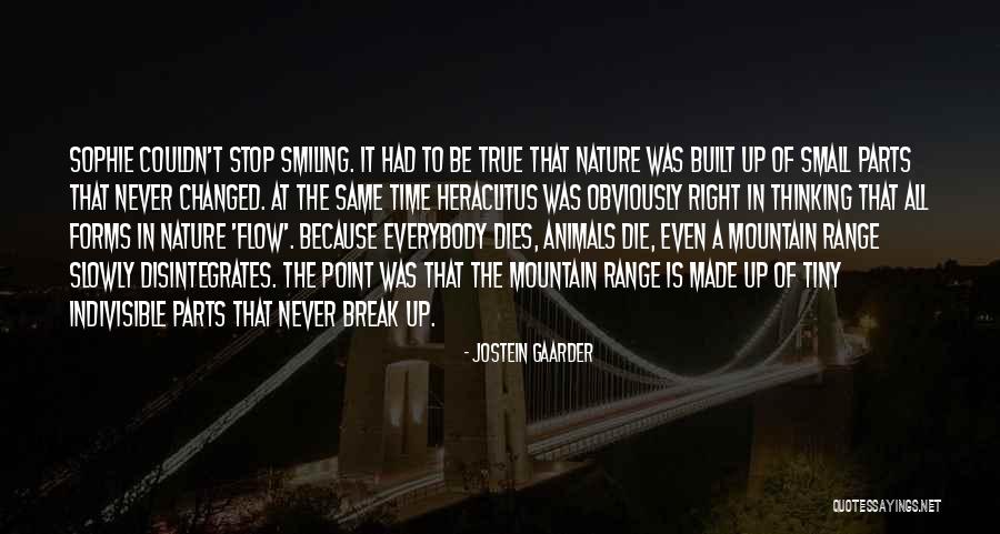 Mountain Small Quotes By Jostein Gaarder Mountain Small Quotes By Jostein Gaarder