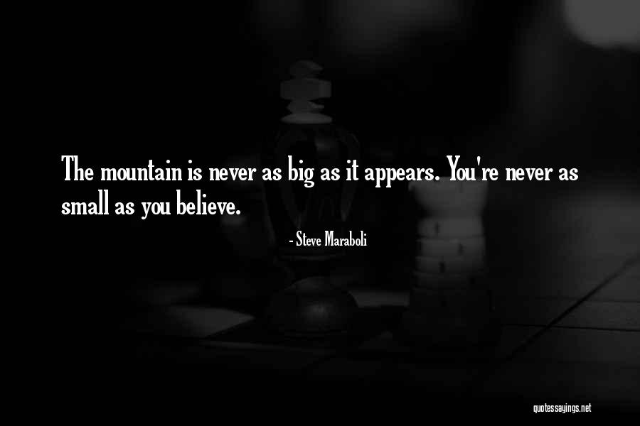 Mountain Small Quotes By Steve Maraboli