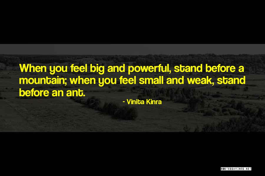 Mountain Small Quotes By Vinita Kinra Mountain Small Quotes By Vinita Kinra