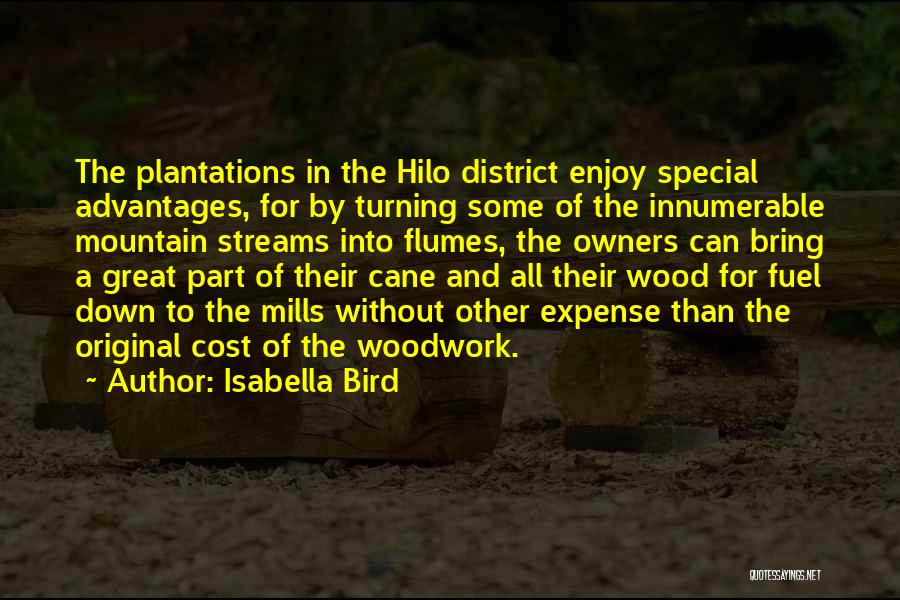 Mountain Streams Quotes By Isabella Bird