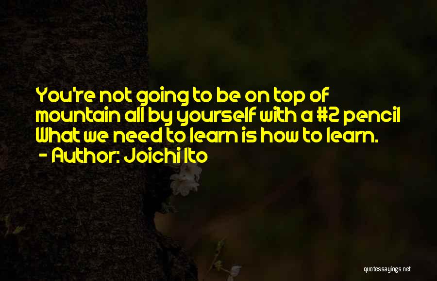 Mountain Top Quotes By Joichi Ito