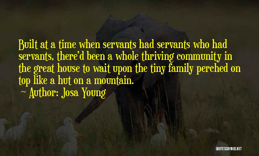 Mountain Top Quotes By Josa Young