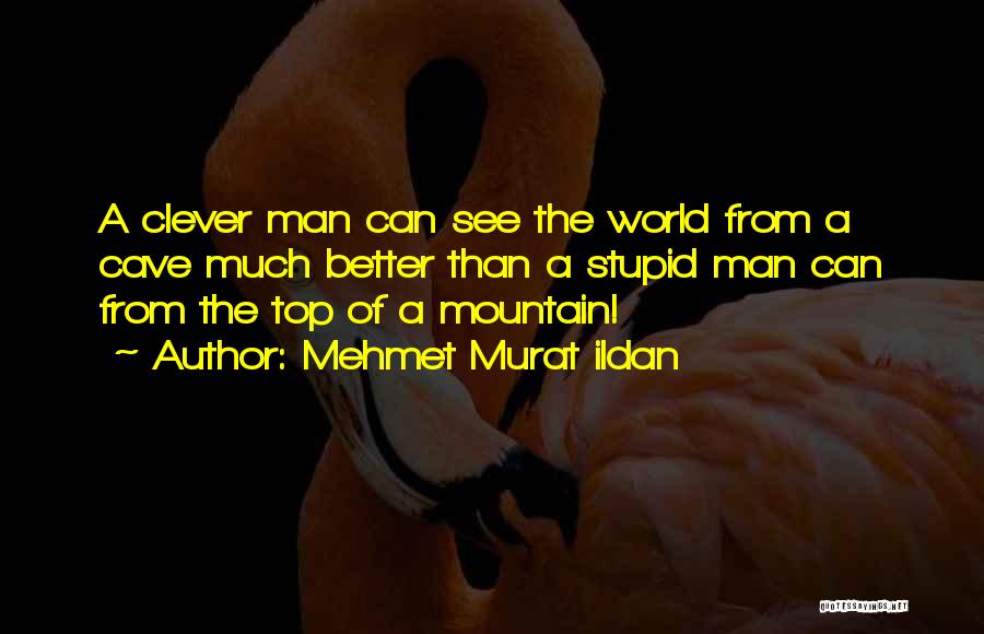 Mountain Top Quotes By Mehmet Murat Ildan