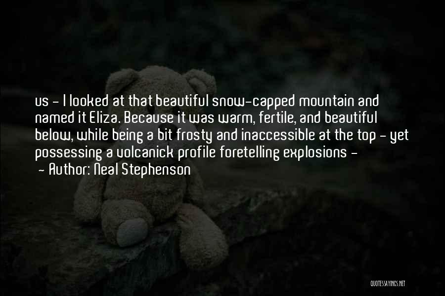 Mountain Top Quotes By Neal Stephenson