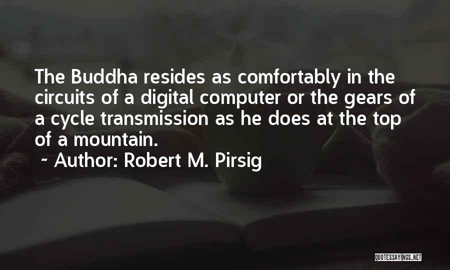 Mountain Top Quotes By Robert M. Pirsig