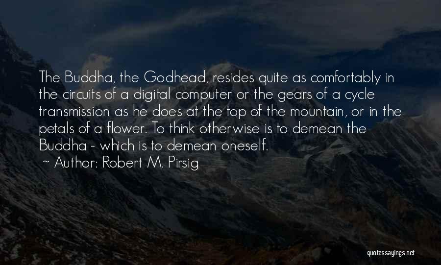 Mountain Top Quotes By Robert M. Pirsig