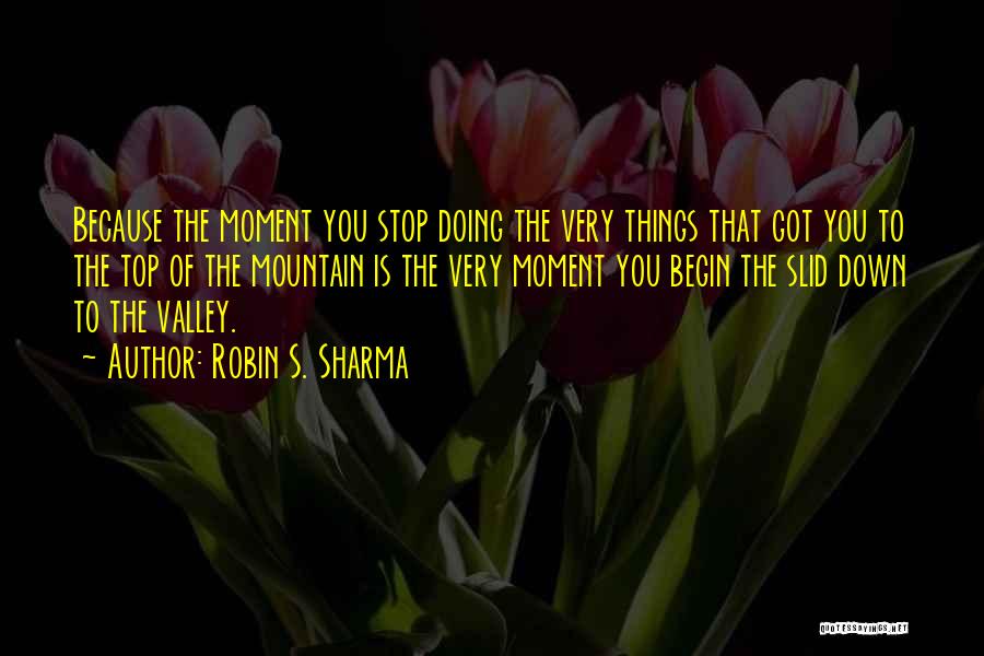 Mountain Top Quotes By Robin S. Sharma