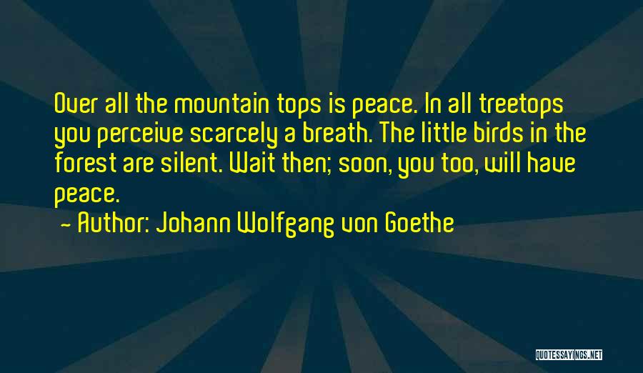 Mountain Tops Quotes By Johann Wolfgang Von Goethe