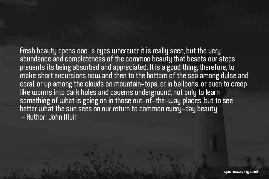 Mountain Tops Quotes By John Muir