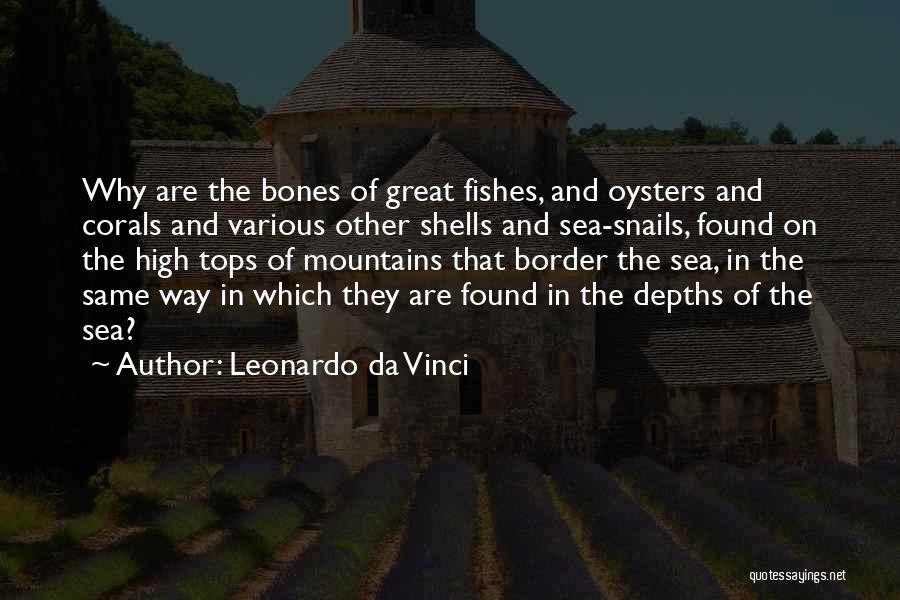 Mountain Tops Quotes By Leonardo Da Vinci