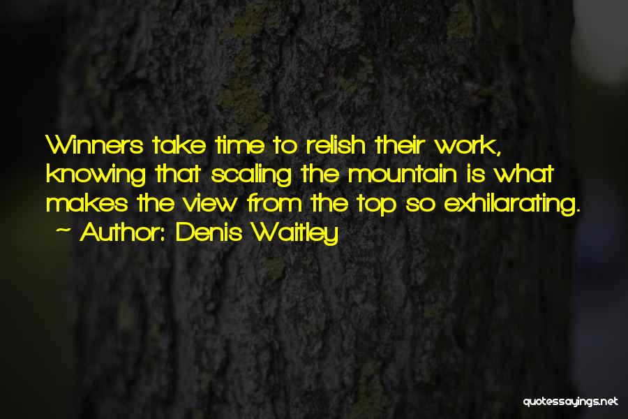 Mountain View Quotes By Denis Waitley