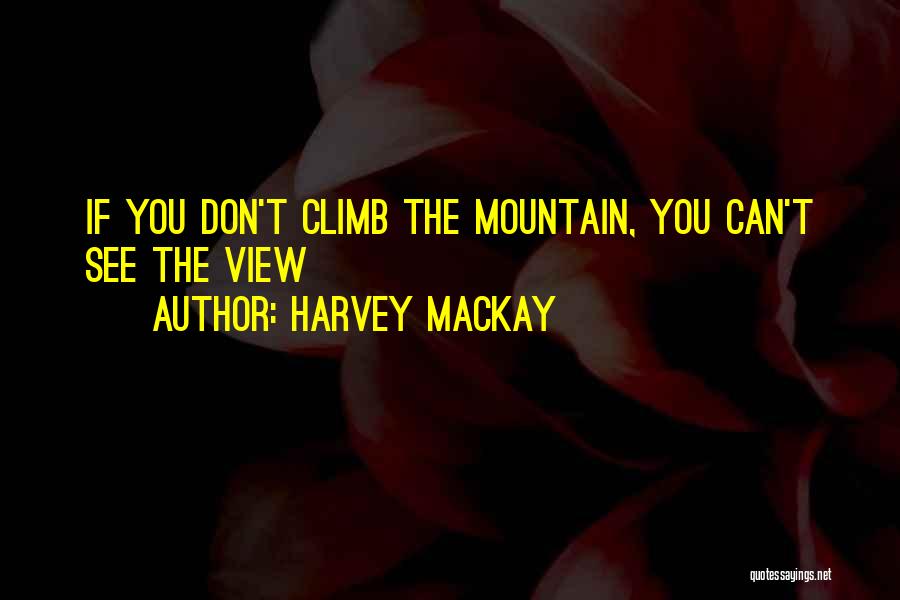 Mountain Views Quotes By Harvey MacKay