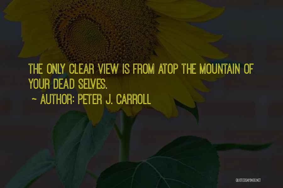 Mountain Views Quotes By Peter J. Carroll