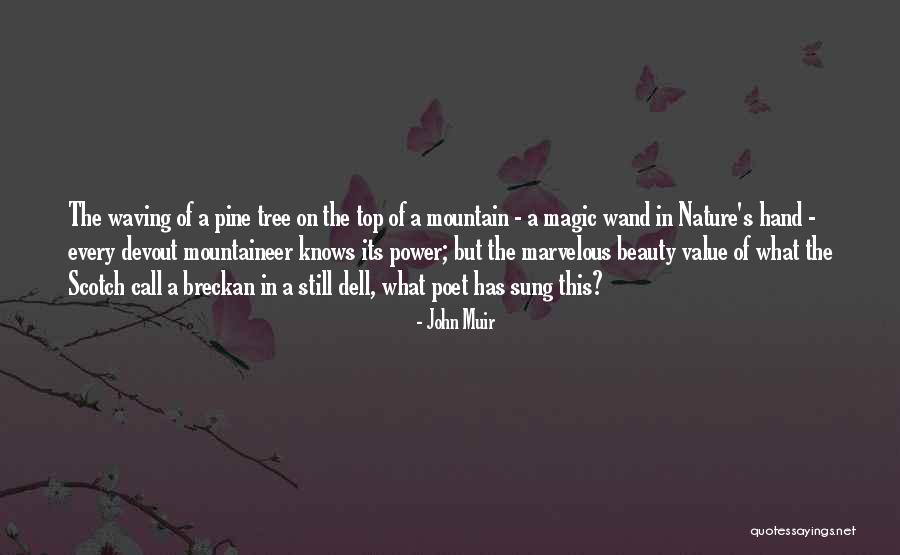 Mountaineer Quotes By John Muir Mountaineer Quotes By John Muir