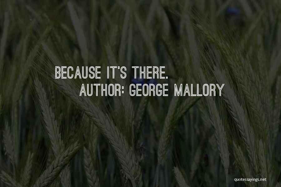Mountaineering Quotes By George Mallory