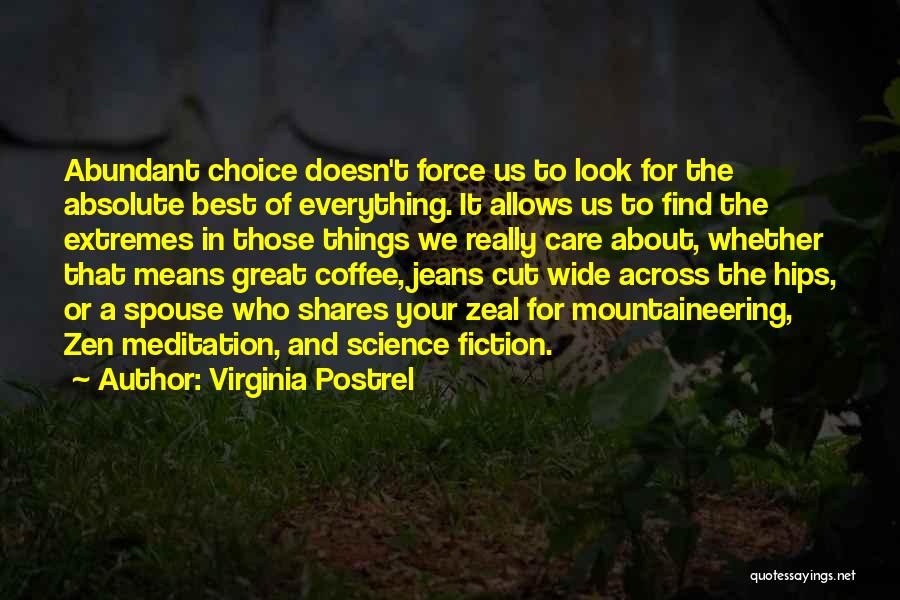 Mountaineering Quotes By Virginia Postrel