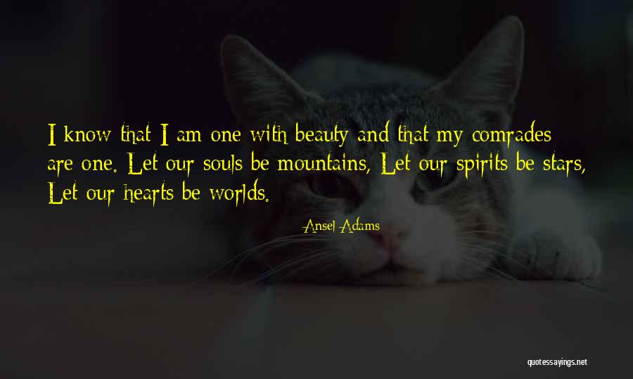 Mountains And Beauty Quotes By Ansel Adams Mountains And Beauty Quotes By Ansel Adams