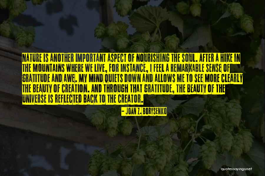Mountains And Beauty Quotes By Joan Z. Borysenko Mountains And Beauty Quotes By Joan Z. Borysenko