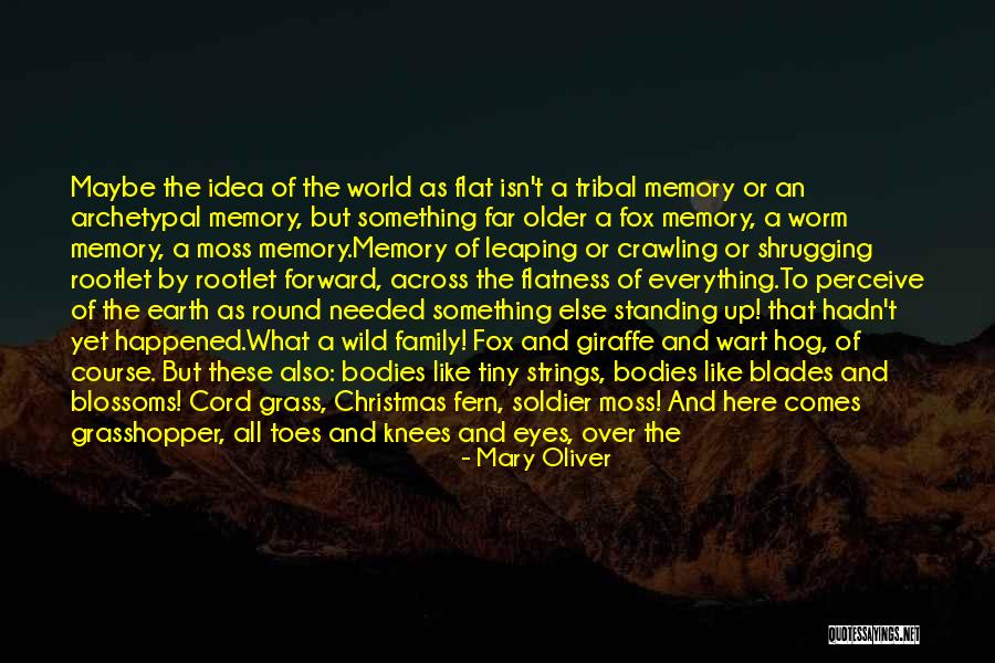 Mountains And Family Quotes By Mary Oliver Mountains And Family Quotes By Mary Oliver