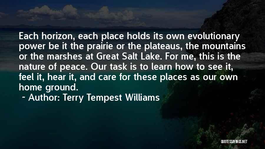 Mountains And Lakes Quotes By Terry Tempest Williams
