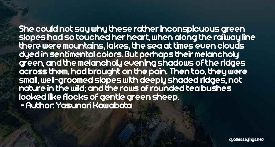 Mountains And Lakes Quotes By Yasunari Kawabata