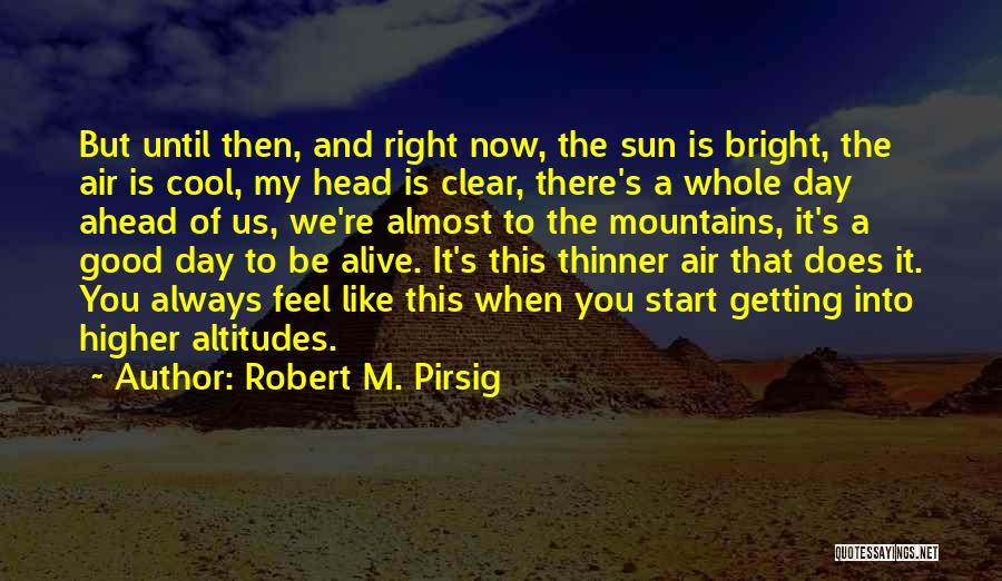 Mountains And Love Quotes By Robert M. Pirsig