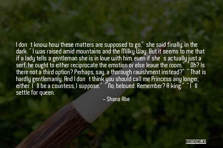 Mountains And Love Quotes By Shana Abe