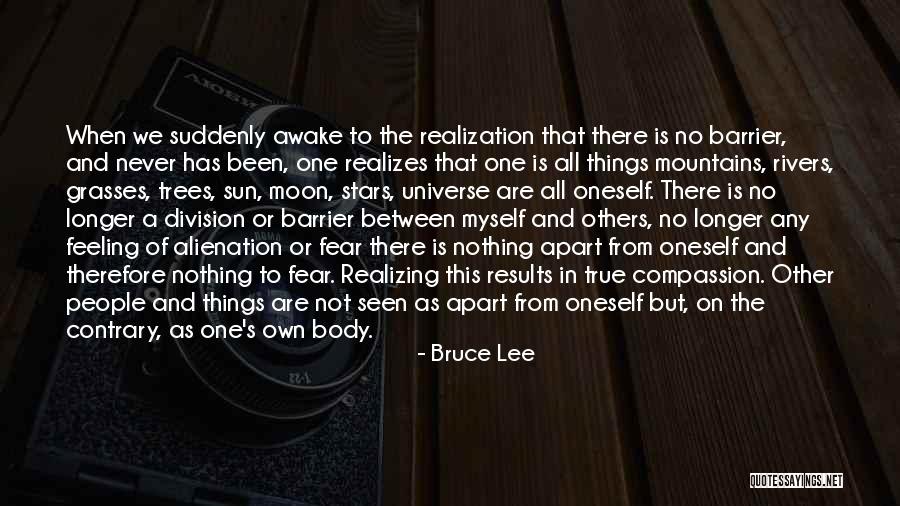 Mountains And Rivers Quotes By Bruce Lee Mountains And Rivers Quotes By Bruce Lee