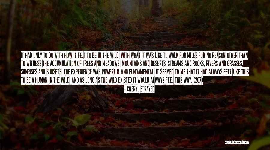 Mountains And Rocks Quotes By Cheryl Strayed Mountains And Rocks Quotes By Cheryl Strayed