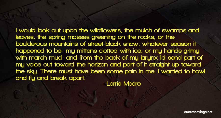 Mountains And Rocks Quotes By Lorrie Moore Mountains And Rocks Quotes By Lorrie Moore