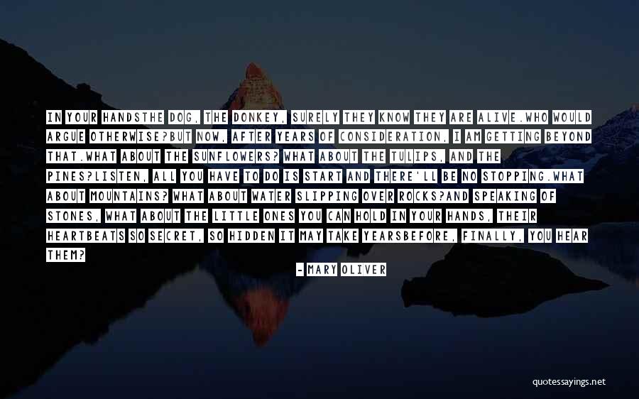 Mountains And Rocks Quotes By Mary Oliver Mountains And Rocks Quotes By Mary Oliver