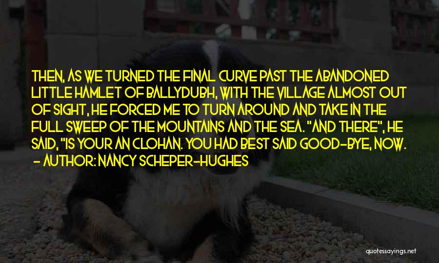 Mountains And Sea Quotes By Nancy Scheper-Hughes