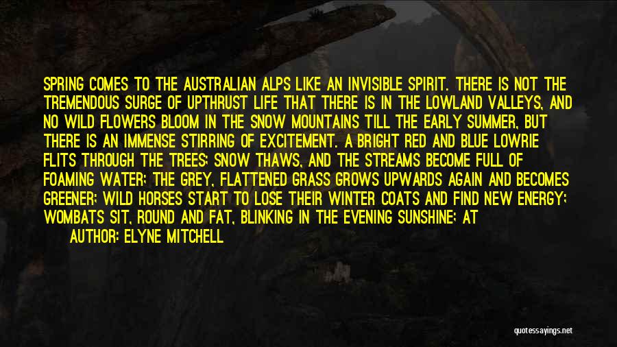 Mountains And Snow Quotes By Elyne Mitchell