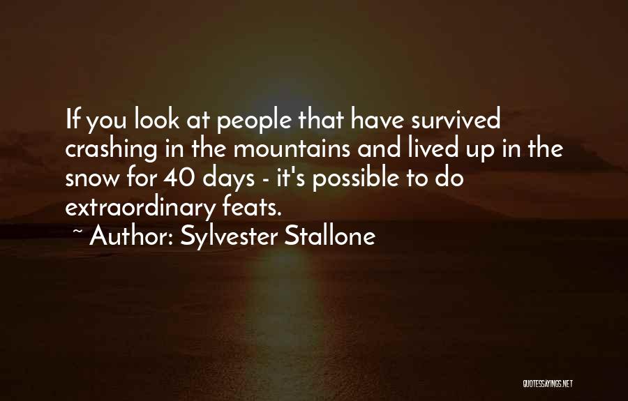 Mountains And Snow Quotes By Sylvester Stallone