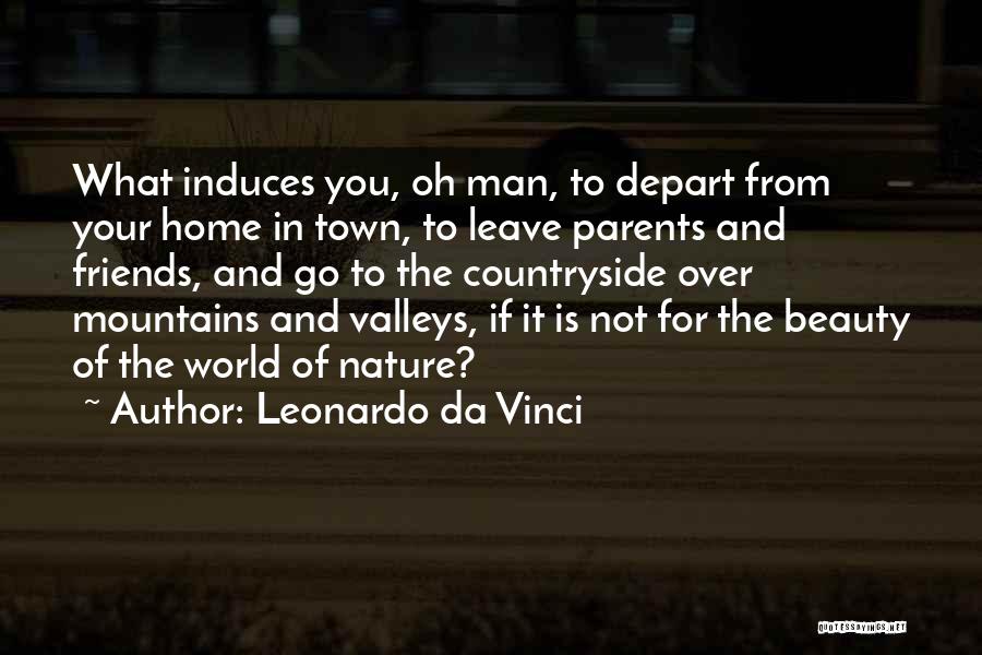 Mountains And Valleys Quotes By Leonardo Da Vinci