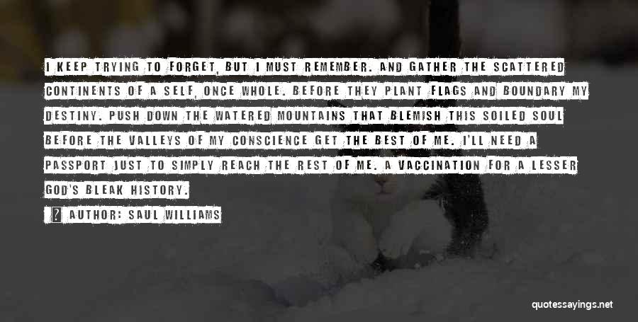 Mountains And Valleys Quotes By Saul Williams