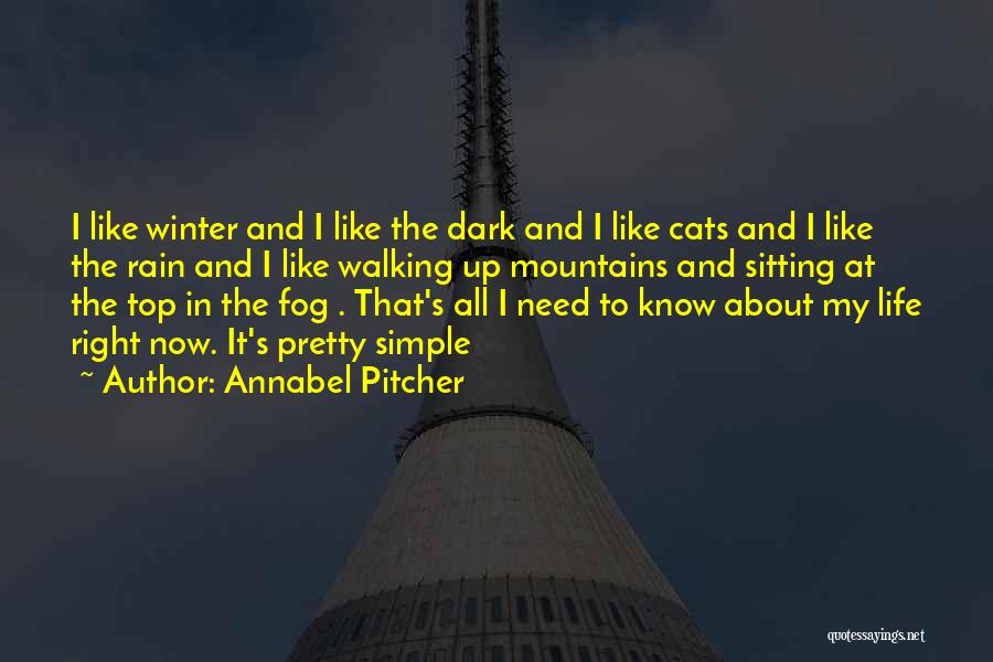 Mountains In Winter Quotes By Annabel Pitcher