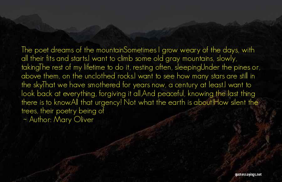 Mountains Nature Quotes By Mary Oliver