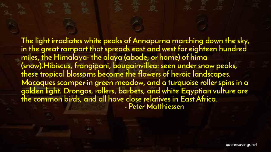 Mountains West Quotes By Peter Matthiessen Mountains West Quotes By Peter Matthiessen