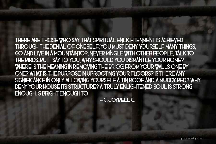 Mountaintop Quotes By C. JoyBell C. Mountaintop Quotes By C. JoyBell C.
