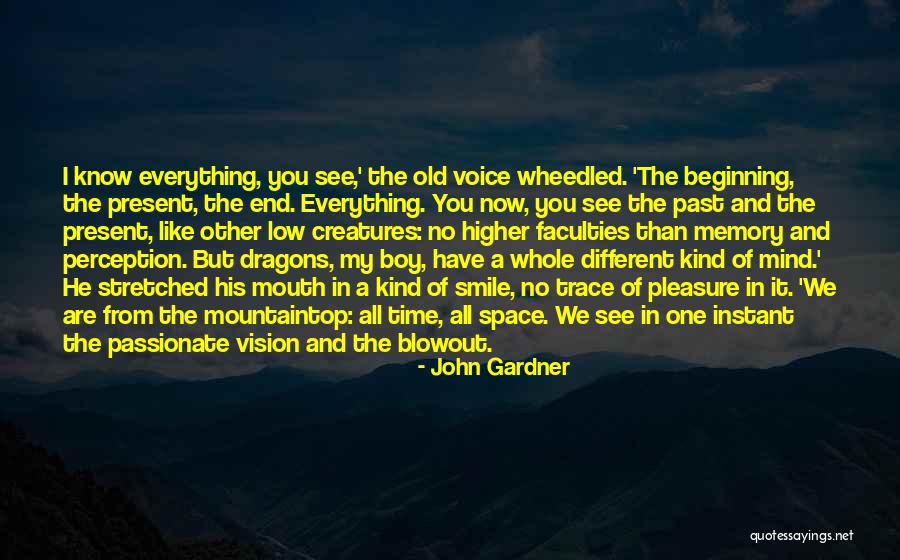 Mountaintop Quotes By John Gardner