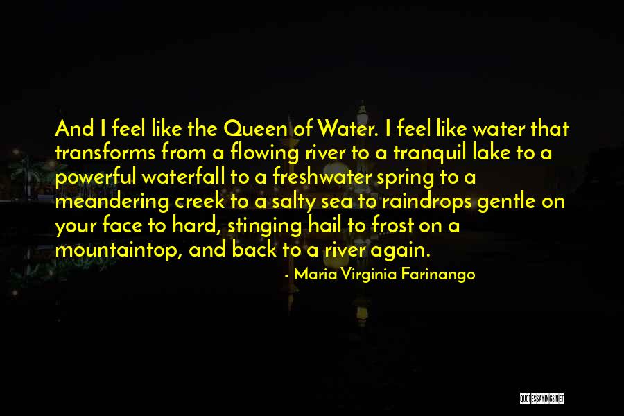 Mountaintop Quotes By Maria Virginia Farinango Mountaintop Quotes By Maria Virginia Farinango