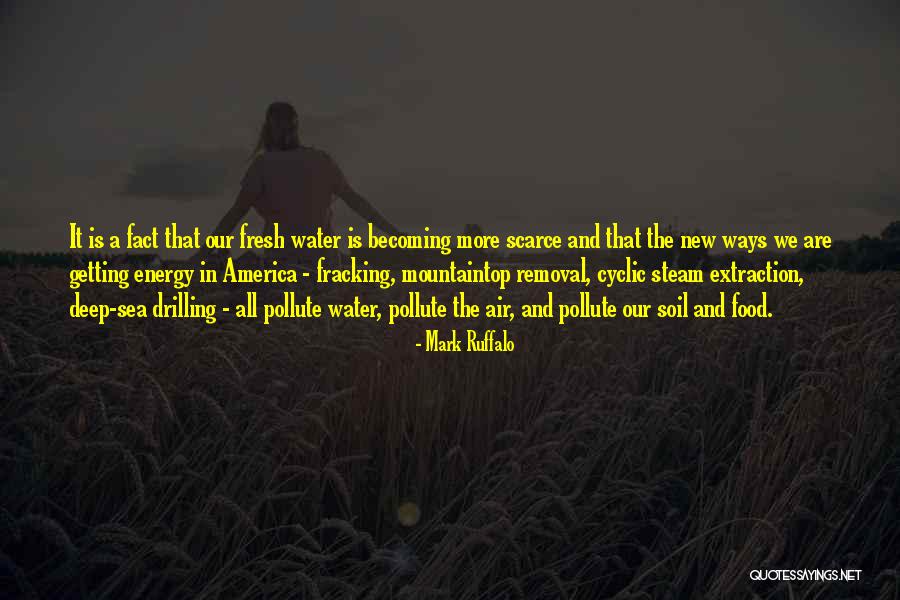 Mountaintop Quotes By Mark Ruffalo Mountaintop Quotes By Mark Ruffalo