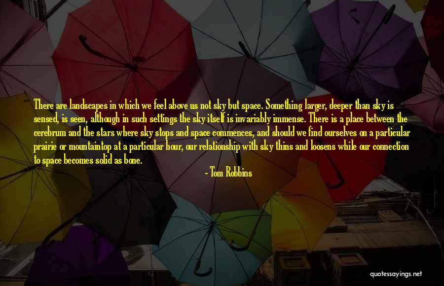 Mountaintop Quotes By Tom Robbins Mountaintop Quotes By Tom Robbins