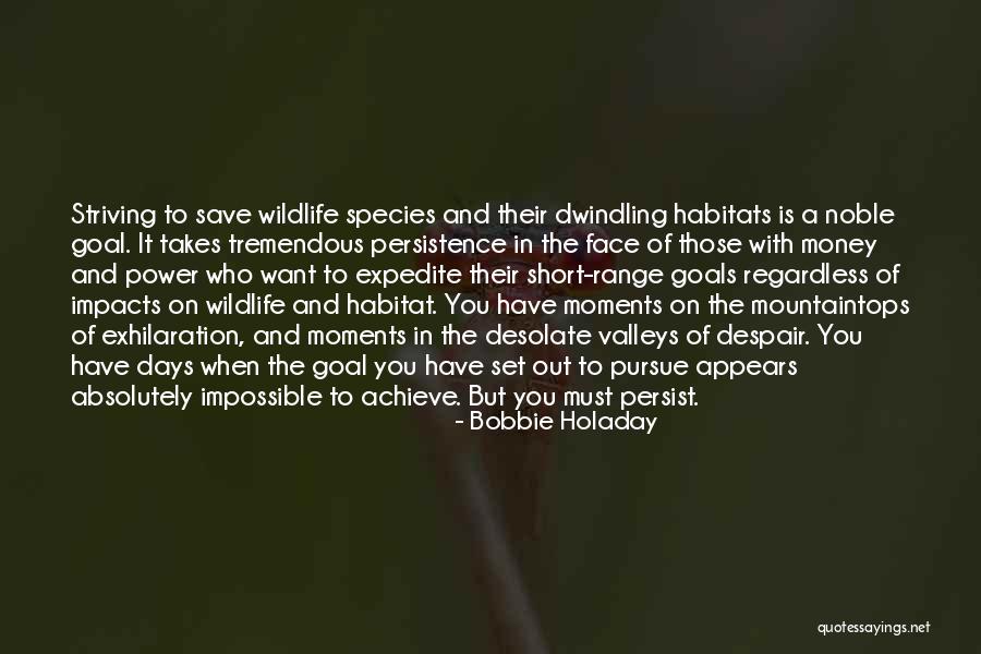 Mountaintops And Valleys Quotes By Bobbie Holaday Mountaintops And Valleys Quotes By Bobbie Holaday