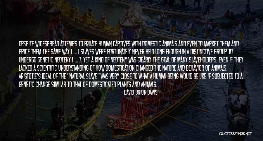 Mountant Quotes By David Brion Davis Mountant Quotes By David Brion Davis