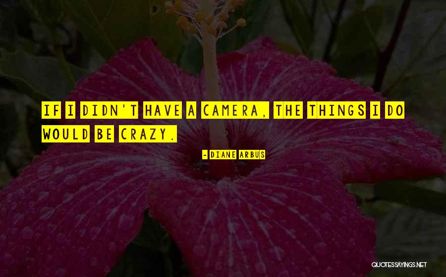 Mounts Ford Quotes By Diane Arbus