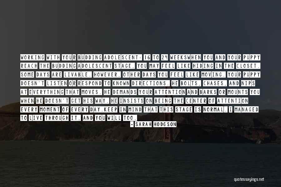Mounts Quotes By Sarah Hodgson Mounts Quotes By Sarah Hodgson