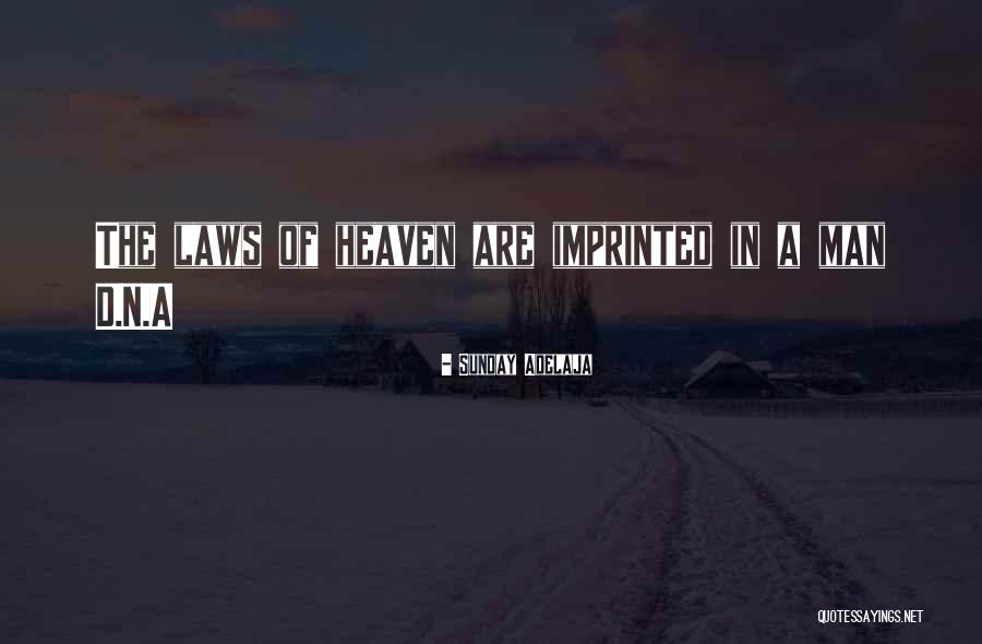 Mouratidis Quotes By Sunday Adelaja